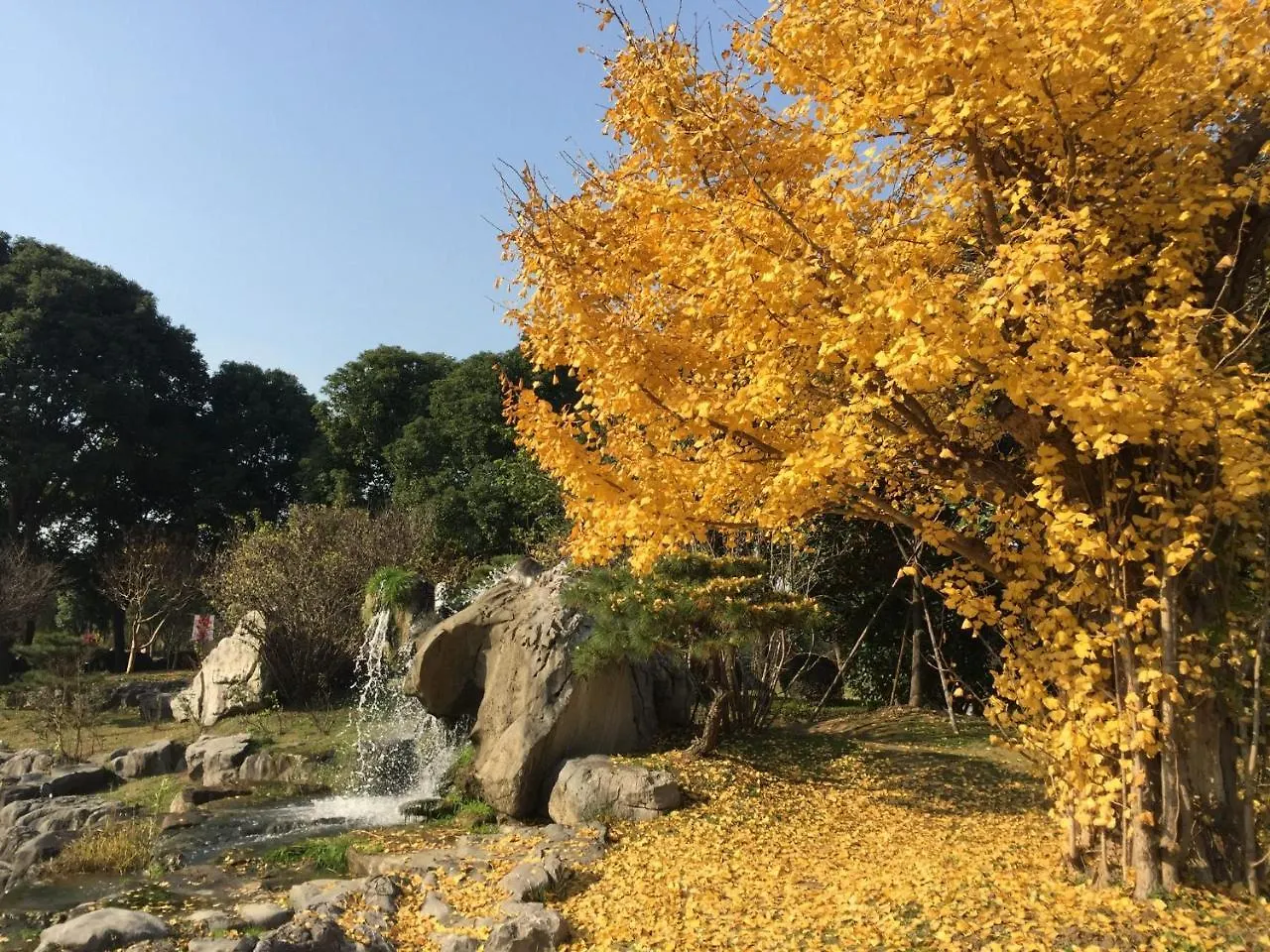 Tongli Lake View Hotel Suzhou  China