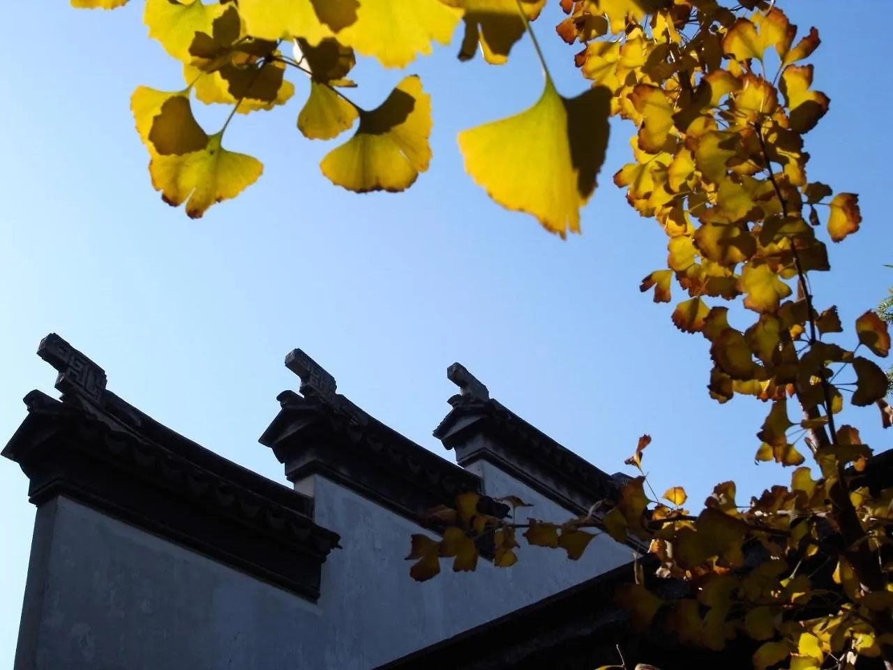 Tongli Lake View Hotel Suzhou